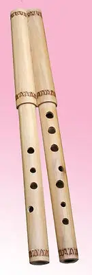 Double flute - ukrainian ethnic instrument dvodencivka, djolomyga. Professional.