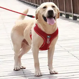 狗狗胸背帶 胸背帶 中大型犬胸背帶 大狗胸背帶 狗牽繩胸背帶 寵物胸背帶 牽引繩 防暴衝