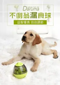 在飛比找Yahoo!奇摩拍賣優惠-耐咬玩具 寵物玩具 狗狗不倒翁漏食球 寵物慢食器 搖晃漏食器