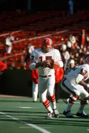 Bob Berry Of The Atlanta Falcons Drops Back To Pass 1971 NFL OLD PHOTO 7