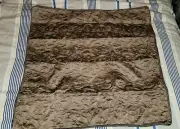Croscill Everly Gold European Pillow Shams NIP/NOS Euro Brown