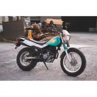 在飛比找蝦皮購物優惠-YAMAHA TW200