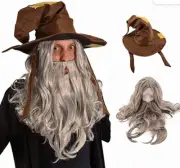 Wizard Wig and Long Beard with Wizard Sorcerer Costume Hat - All Included