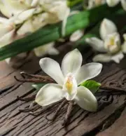 Dried Vanilla Beans Grade C 6 Sticks Used For Vanilla Organic Herbs Spices