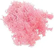 100g Bag Preserved Moss Artificial Plant Eternal Moss DIY Micro Landscape Decor Bryophyte Wall Decor for Home