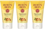 Burt's Bees Deep Cleansing Pore Scrub with Peach and Willow Bark, 4 Ounces, Pack of 3