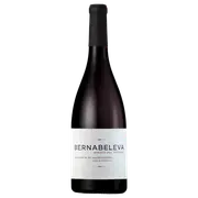 2020 Bernabeleva Madrid Arroyo del Tortolas Garnacha - Buy Online | The Wine Collective Marketplace