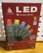 Enchanted Forest 50 LED Concave Miniature Light Set Multi Colored Indoor/Outdoor