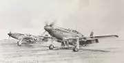 The Tuskegee Airmen by Richard Taylor 10 Tuskegee autographs with Charles McGee