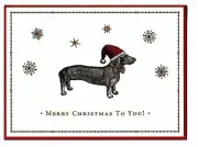 DACHSHUND LOVERS! DOXIE IN SANTA HAT CHRISTMAS CARD by GALISON (10)