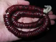 Nepal Tibet Buddhist 108 Button Shaped Phoenix Eyed Bodhi Mala Prayer Beads (u1)