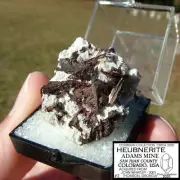 HEUBNERITE CRYSTAL CLUSTER ADAMS MINE COLORADO perky box SAN JUAN COUNTY