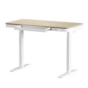 Artiss Standing Desk Motorised Electric Dual Motor Draw 120CM Oak