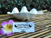 Capiz Shell Bowl - Clam Shape x 20cm Capiz Shell