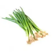 Organic Eschallots - Fresh, healthy organic delivery | Doorstep Organics