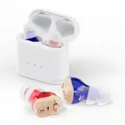 MiNi Hearing Aids Digital Small Invisible In Ear Sound Voice Amplifier nwsw