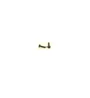 OLYMPUS Screws FL50 FL50R flash unit flash shoe foot screws 4 GENUINE SCREWS