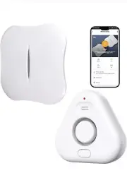 smart water leak detector