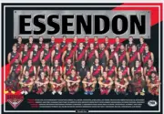 Essendon bombers team Photo,AFL football,swans, ,blues books,Sydney swans,pies