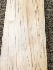 Maple Spalted Ambrosia wood veneer 5" x 17" raw no backed 1/42" thickness