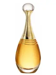 Dior J'adore Infinissime EDP 100ml