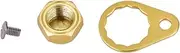 Fishing Reel Screws Nut Caps, Fishing Reel Left Right Handle Locking Plate Screw Nut Cap Fishing Reel Screws Nuts Fishing Reel Replacement Parts DIY Accessory (Light Gold Right