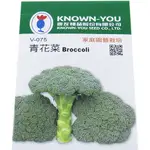 {綠花緣} 青花菜、綠色花椰菜、青花椰菜 BROCCOLI種子