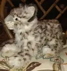 Hansa Snow Leopard Cub Floppy Pouncing 14" Portraits Of Nature New Tags Rare M