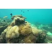 Save 20.00%! Phu Quoc: Snorkeling and Island Hopping By Speedboat with Lunch