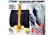 BodyAssist Deluxe Back Rest Cushion Lumbar Support Foam Physio Posture