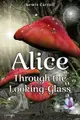 【電子書】Alice Through the Looking-Glass