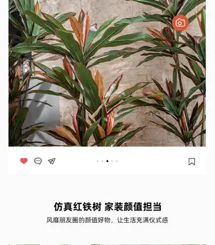 交換禮物！北歐ins風室內紅鐵樹仿真植物假花綠植盆栽擺件客廳落地大型裝飾 全館免運