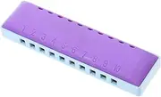 Abaodam 1Set Portable Tones Blues Harmonica with Storage Box Abs Harmonica for Beginners Lightweight Mouth Organ for Adults for Music Lovers