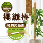 【植人會社】現貨- 椰纖棒 爬藤架 水苔棒 攀爬棒 水苔柱 蛇木柱 蔓綠絨 爬藤支架 椰棒 龜背芋 山烏龜