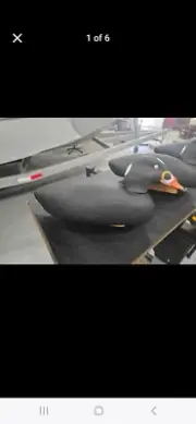 Super Magnum surf scoter decoy, foam body and head with