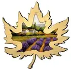 Cross stitch kit - Notes of Provence 20x16cm White Aida 14ct needlepoint kit