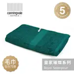 現貨_保固5年 澳洲CANNINGVALE 皇家璀璨系列【毛巾】 600GSM 嬰兒無毒 坎寧威爾