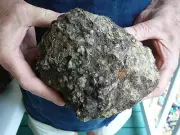 (DF847-5) 7" Fossil REAL DINOSAUR POOP Coprolite Dino Valley Utah DUNG Poo Scat