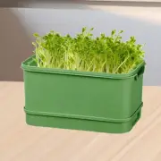 Seed Sprouts Tray Versatile Sprout Planting Container for Kitchen Mung Bean