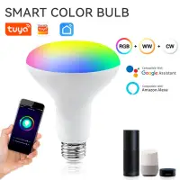 在飛比找蝦皮購物優惠-9W Tuya Smart Home RGB Smart L