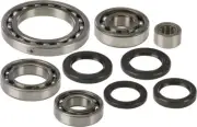 All Balls Differential Bearing & Seal Kit for 2002 Suzuki LT-A500F Vinson 500