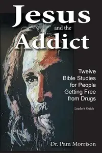 在飛比找誠品線上優惠-Jesus and the Addict: Twelve B