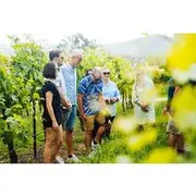 Save 20.00%! Hunter Valley Wine Tour ex Hunter Valley - Lunch, Cheese, Chocolate, Distillery