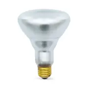 Replacement for 65BR30/SP-130V (for EIKO) and others - 2 Pieces