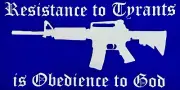 Resistance To Tyrants...2nd Amendment.. Truck AR Decals Sticker (4 Pack) #153