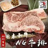 在飛比找遠傳friDay購物優惠-【海肉管家】日本A4-A5等級和牛NG牛排2包(約300g/