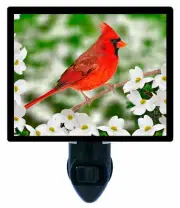 Cardinal Decorative Photo Night Light, Male Northern Cardinal, Red Bird, Spring