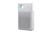 Coway Air Purifier - Classic (1018F)