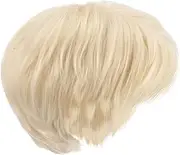 VICASKY Men Straight Wig Synthetic Hairpiece for Cosplay Daily Wear Stylish Male Wig with Fringe Versatile Hair Extension for All Face Shapes