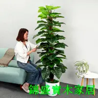 在飛比找樂天市場購物網優惠-免運 開立發票 仿真樹 植物綠植盆栽 人造假樹盆栽 落地擺件